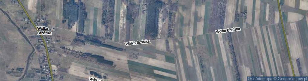 Zdjęcie satelitarne Wólka Brzózka ul.